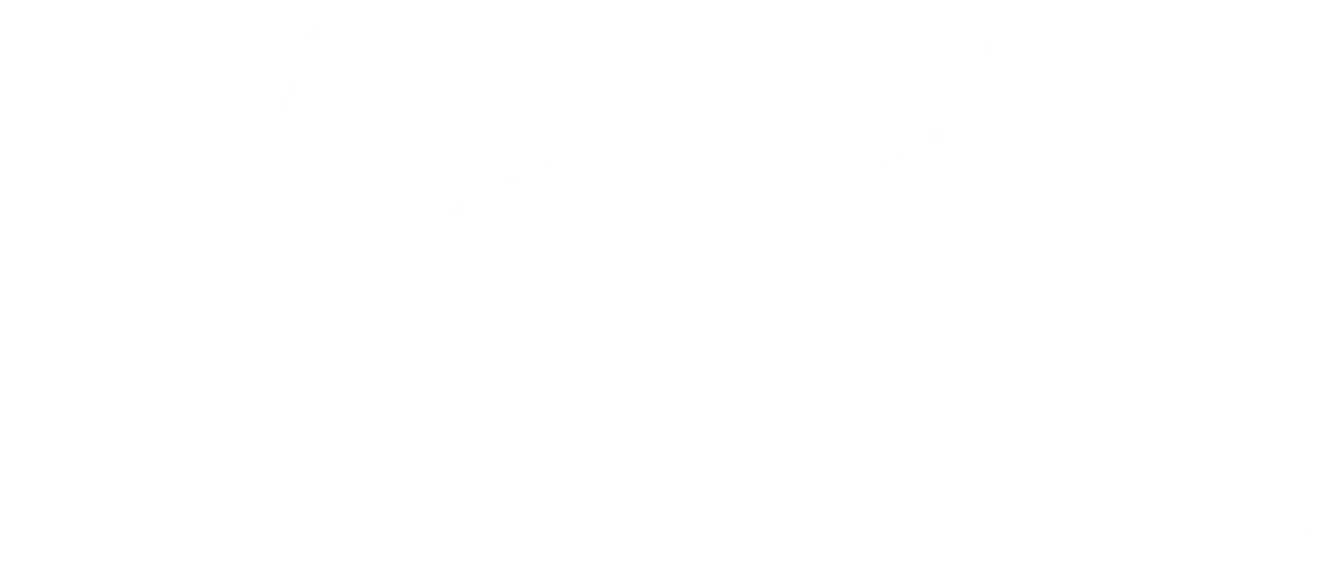 Moon Logo large